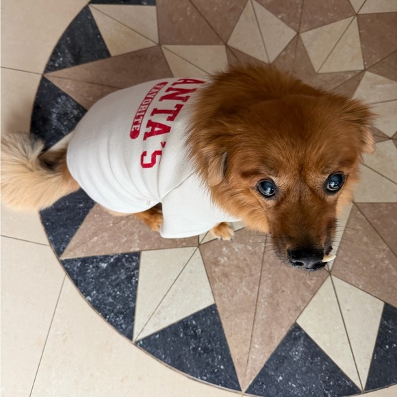 Santa's Favorite Dog Sweater - White and Red - Picture 3 of 4